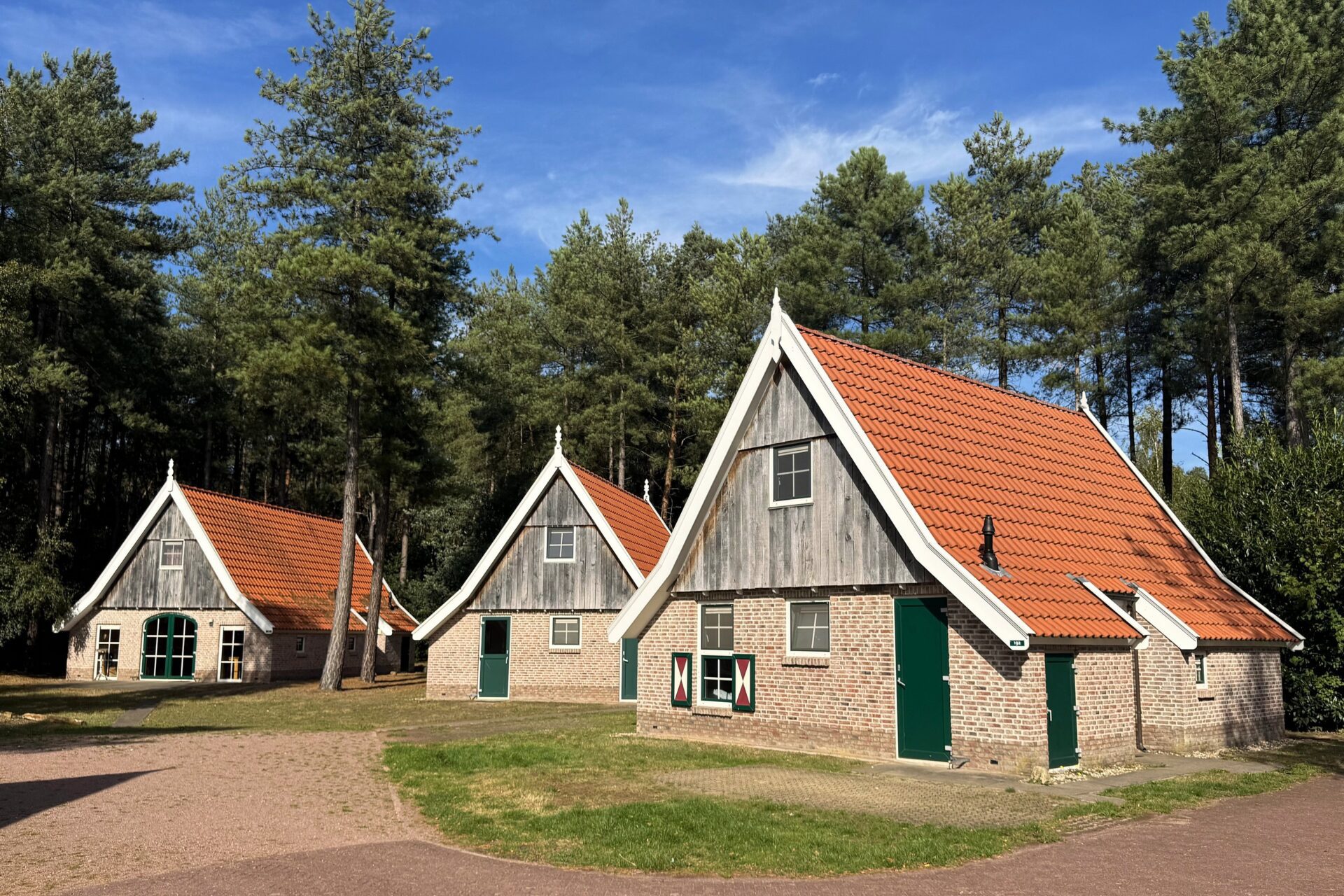 2) LDHB hoofd slilder