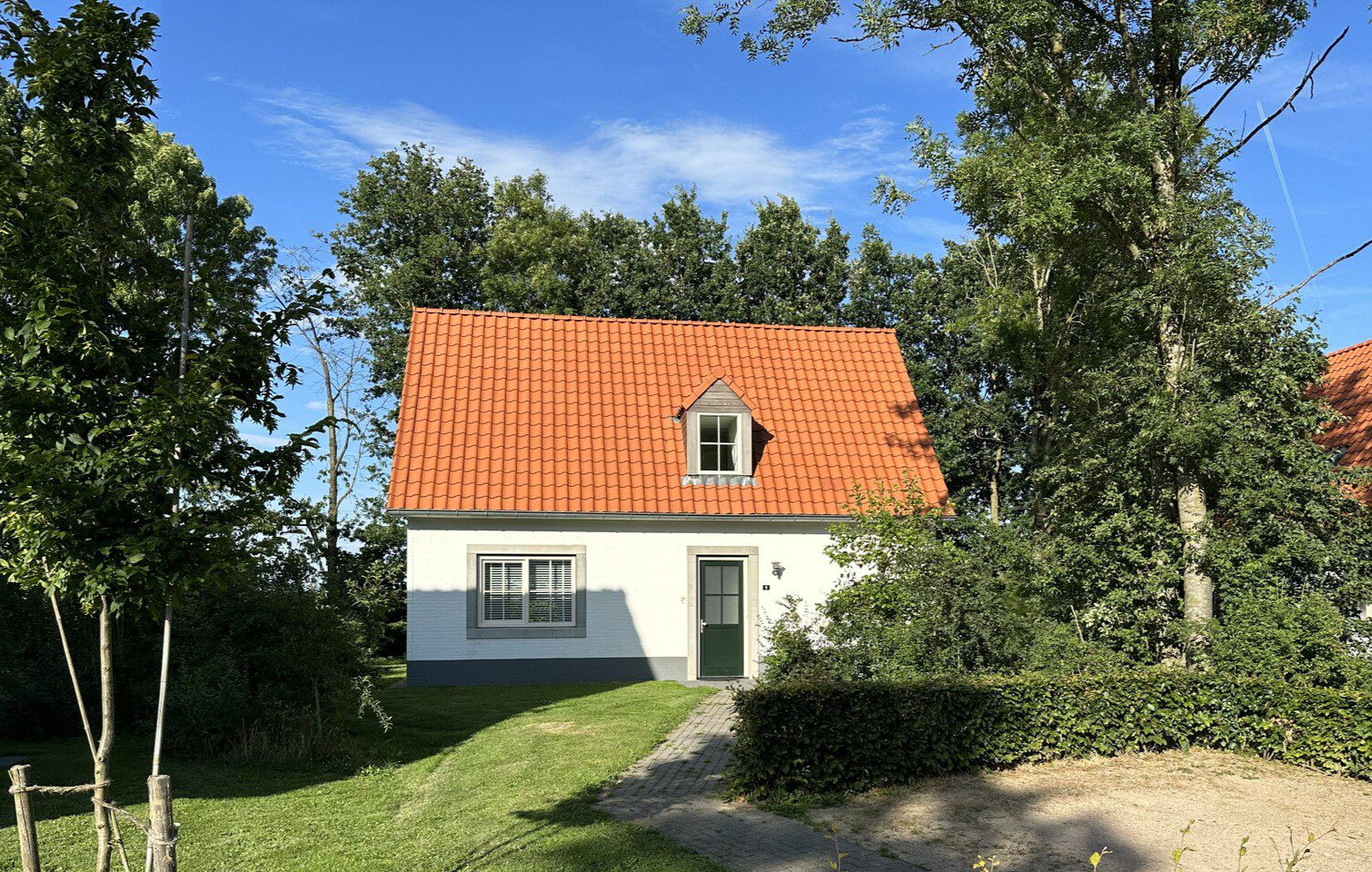 1. DDW nr. 8